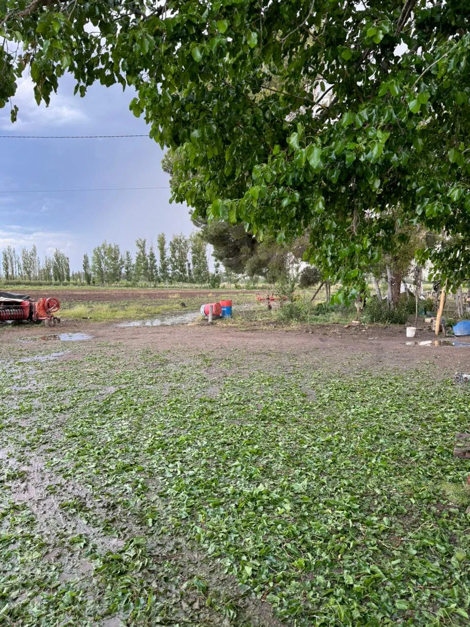 Piedra San Rafael 1112024