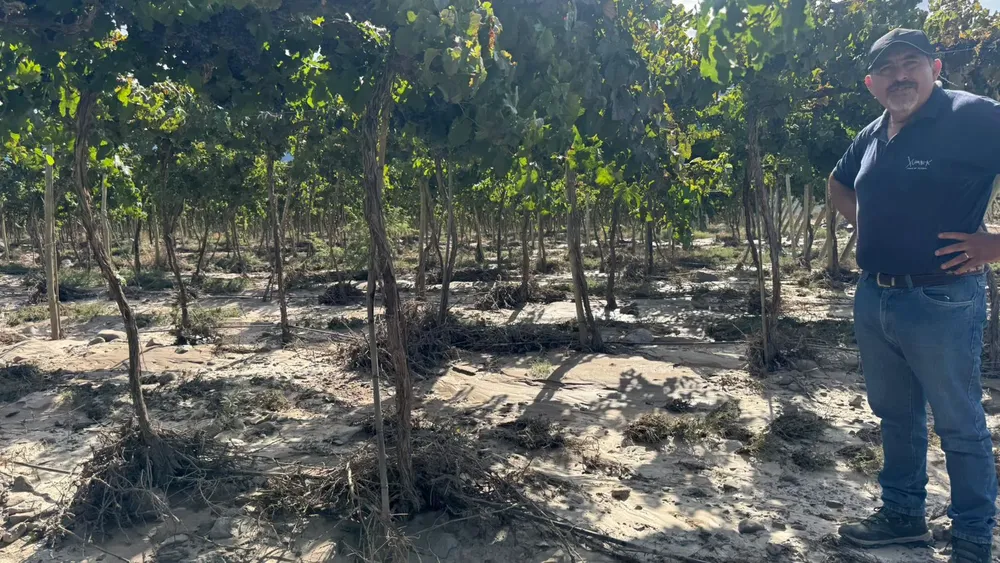 6f47b02e-0044-4a81-b543-f2542823edc8