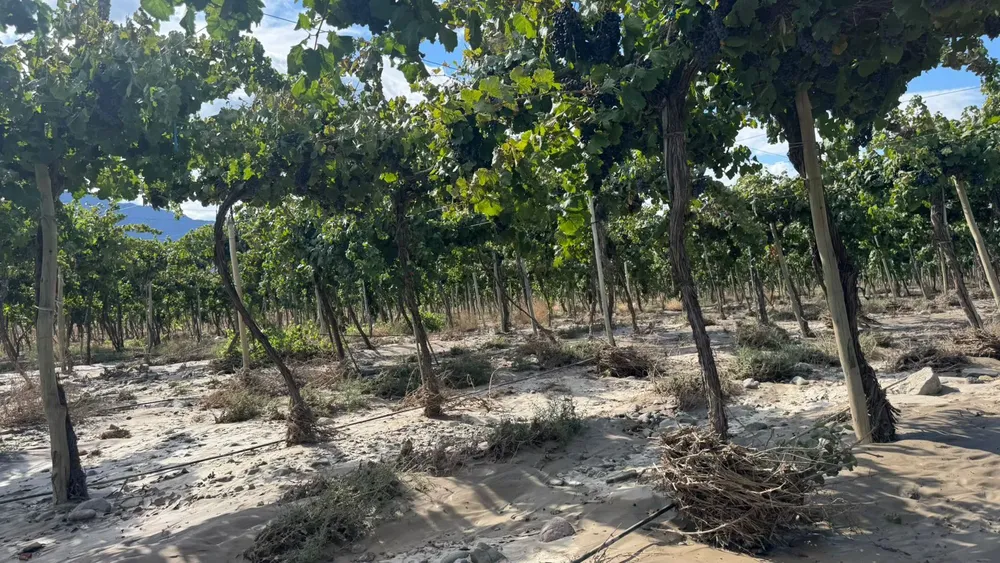 701c70db-01f9-40a6-b7c9-af04f3beb918