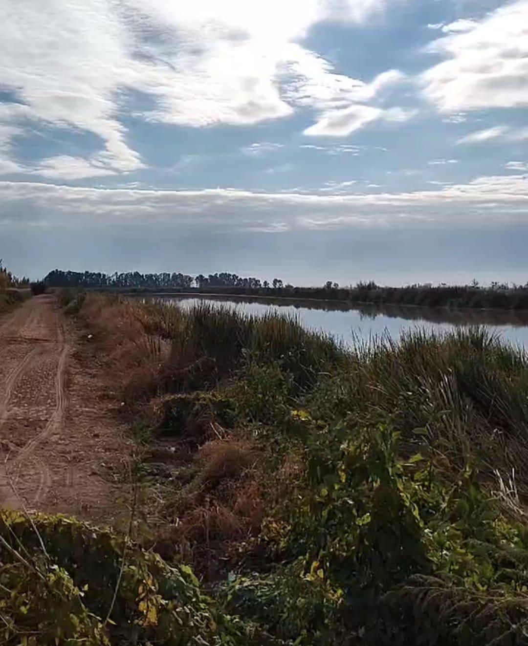 campos contaminados 2