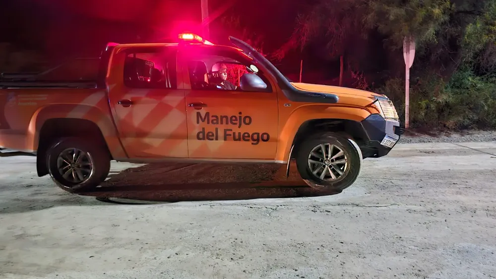 WhatsApp Image 2026-01-24 at 11.09.00 AM