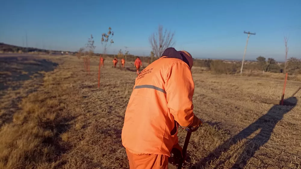 db92fbeb-ead2-40cb-a760-ad84b5fe7da4