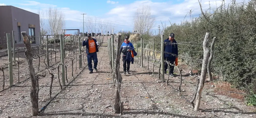 podadores_entreviñas