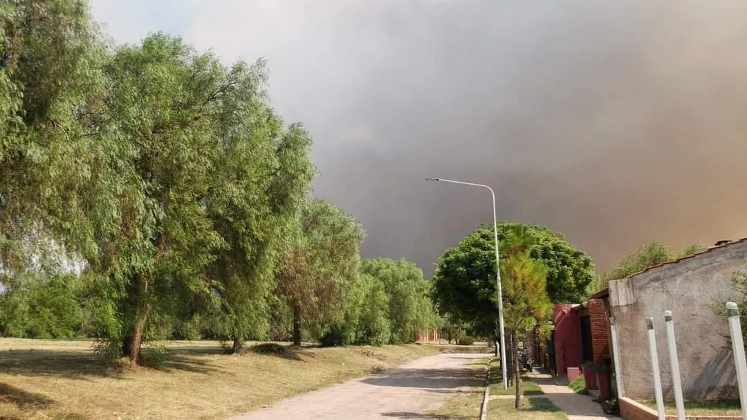 FB_IMG_1642452976494