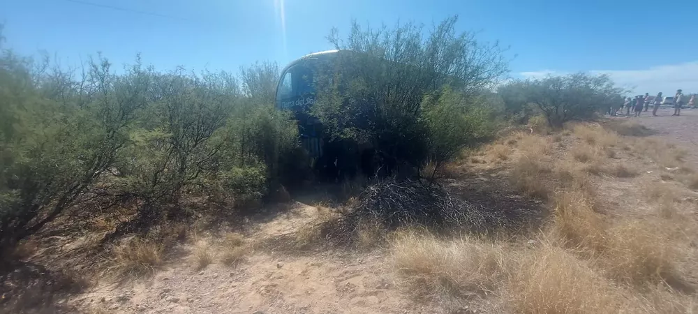 WhatsApp Image 2023-02-27 at 12.48.01 (1)