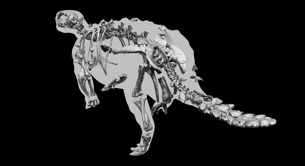 dinosaurio acorazado 4