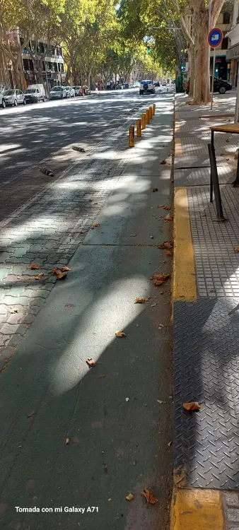 WhatsApp Image 2023-05-08 at 13.36.09