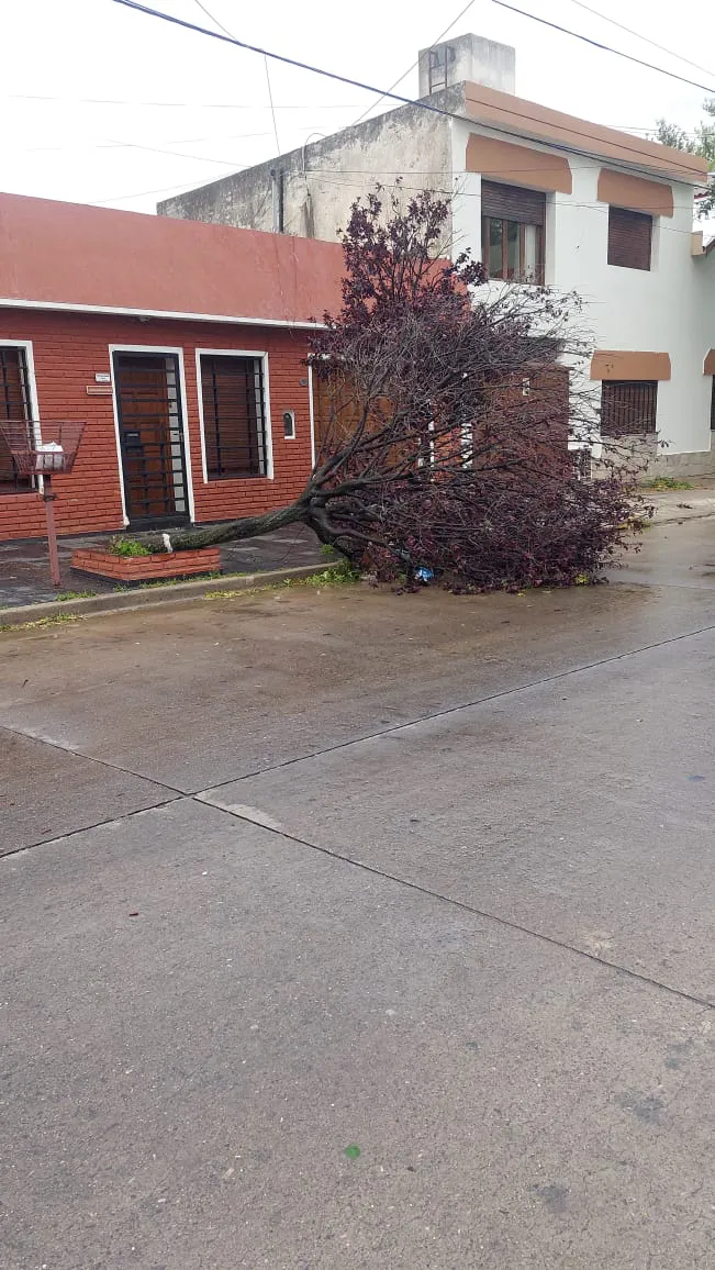 WhatsApp Image 2023-12-14 at 21.23.55 (1)