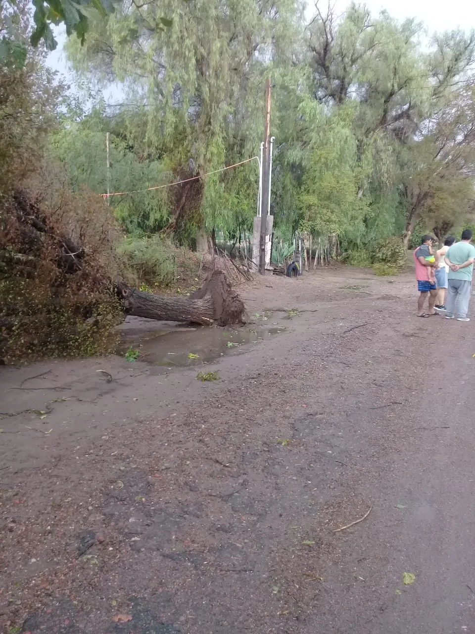 WhatsApp Image 2025-01-23 at 9.49.17 PM