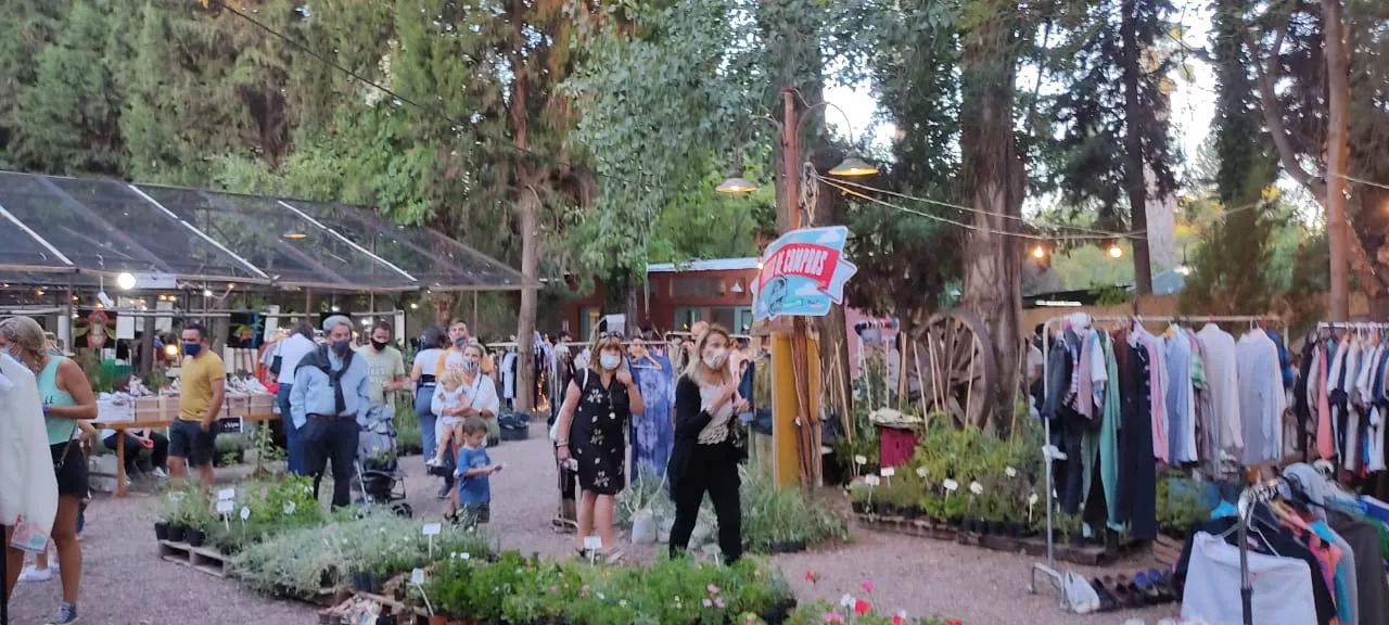 flor de feria primavera