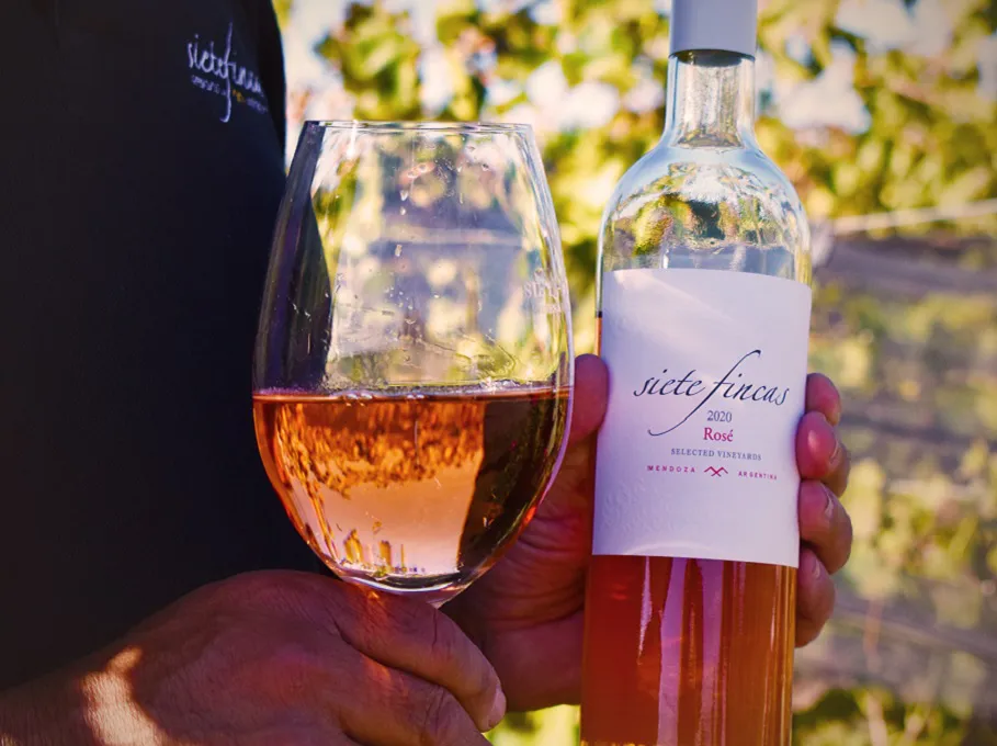 Siete Fincas Rosé (2)