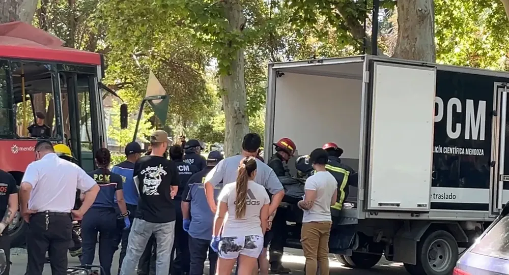 WhatsApp Image 2024-11-10 at 12.23.08 PM