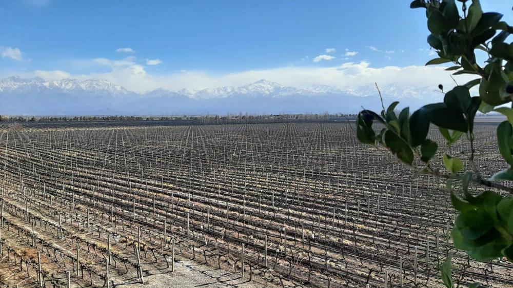 WhatsApp Image 2021-08-28 at 18.56.47