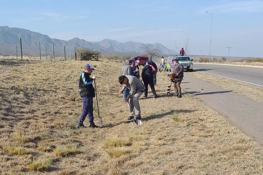 forestacion autopista 3