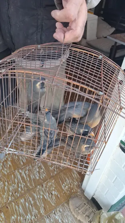 WhatsApp-Image-2025-07-26-at-09.26.03-1