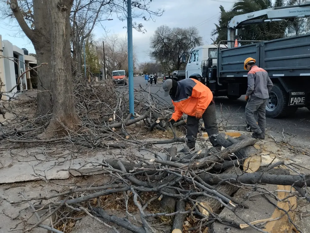 WhatsApp Image 2023-07-21 at 19.36.20 (1)