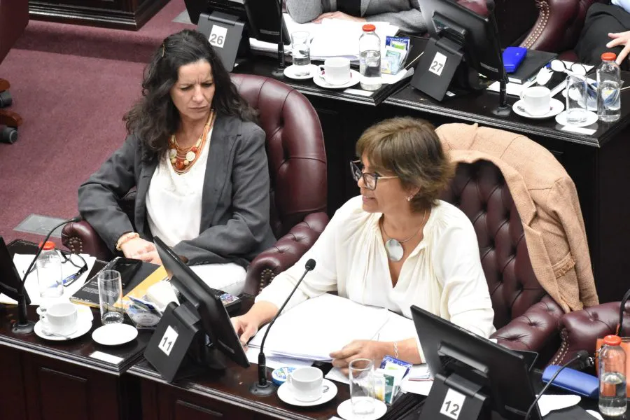 WhatsApp-Image-2025-11-12-at-3.12.49-PM-900x600