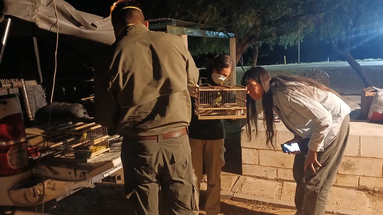 WhatsApp Image 2024-11-20 at 9.50.00 AM (2)