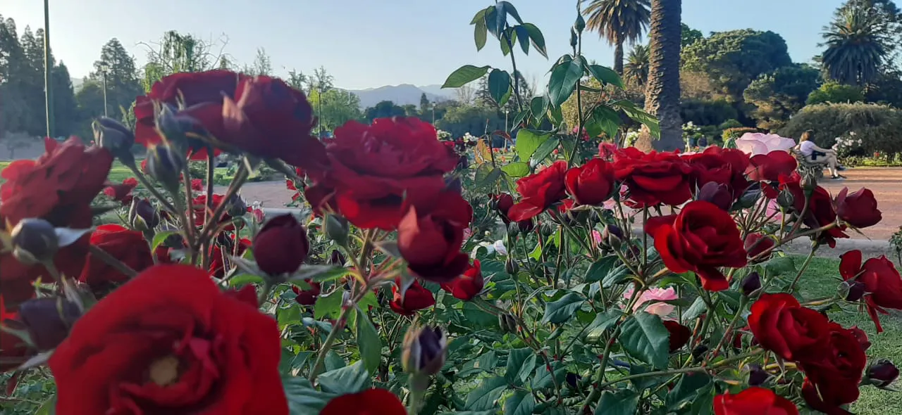 WhatsApp Image 2023-10-27 at 23.36.22