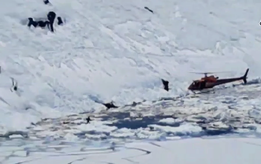 Screenshot_20261017-203253.WhatsApp (1)