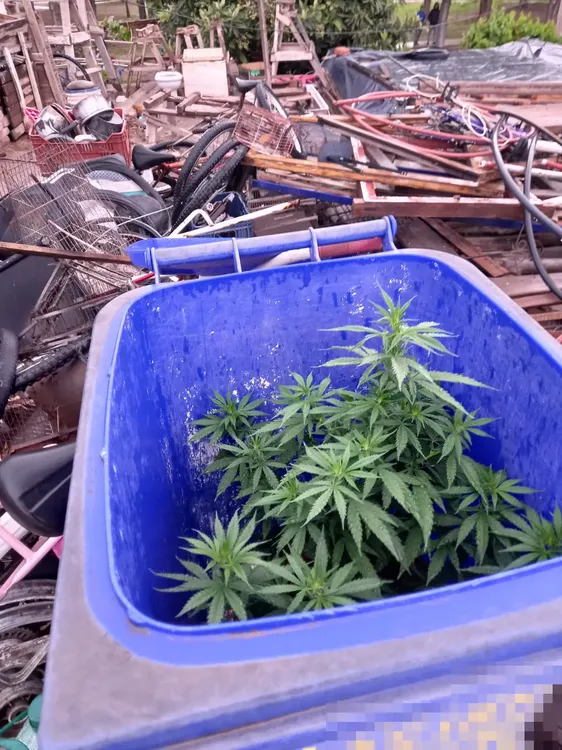 Mendoza allanamiento boca de expendio (6)