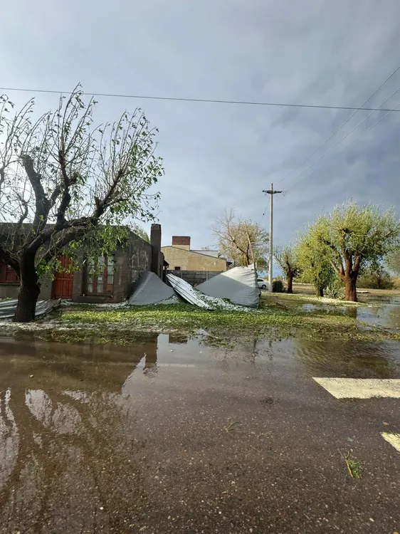 real del padre 06012025