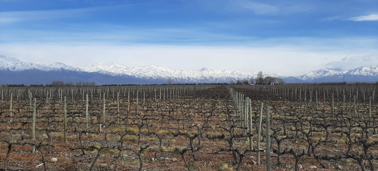 WhatsApp Image 2021-08-28 at 18.52.55