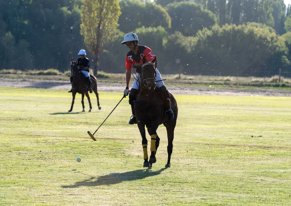 wine polo experience (4)