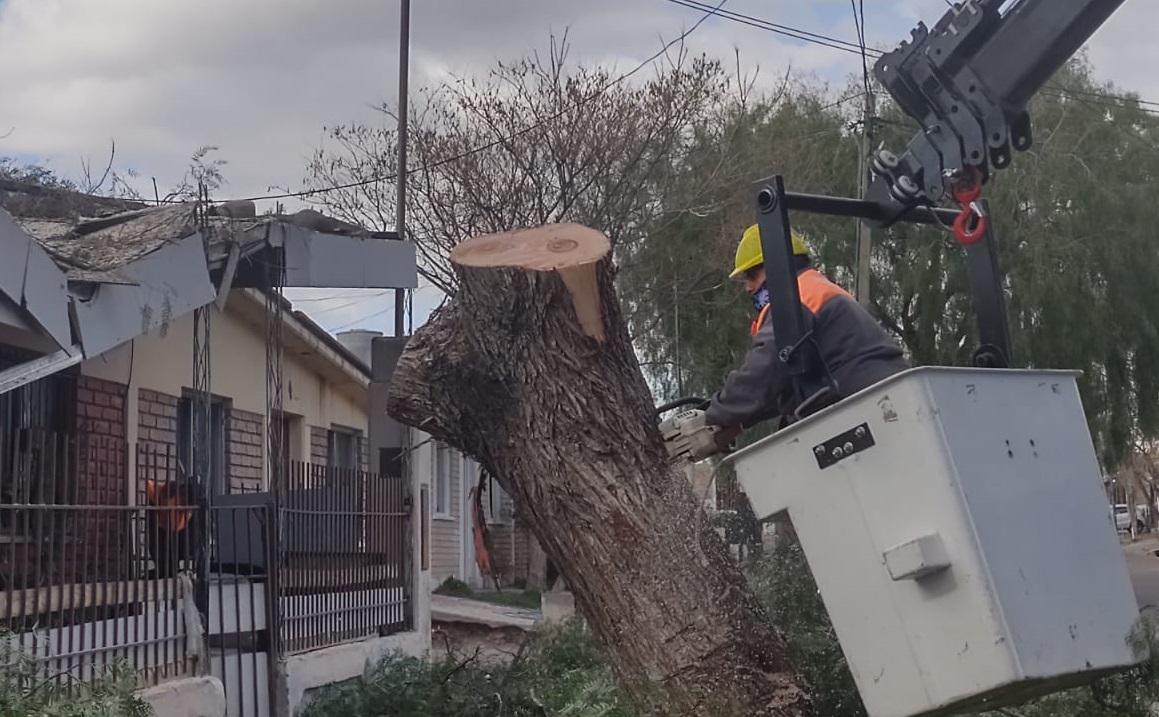 trabajo-municipal-por-zonda-ok