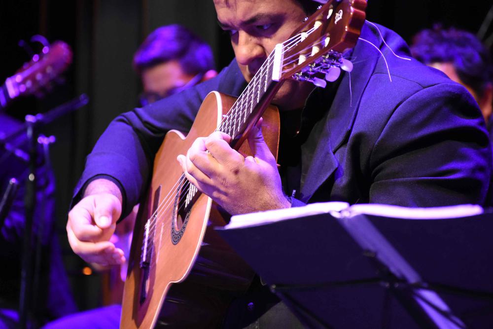 Orquesta Municipal de Guitarras Tito Francia