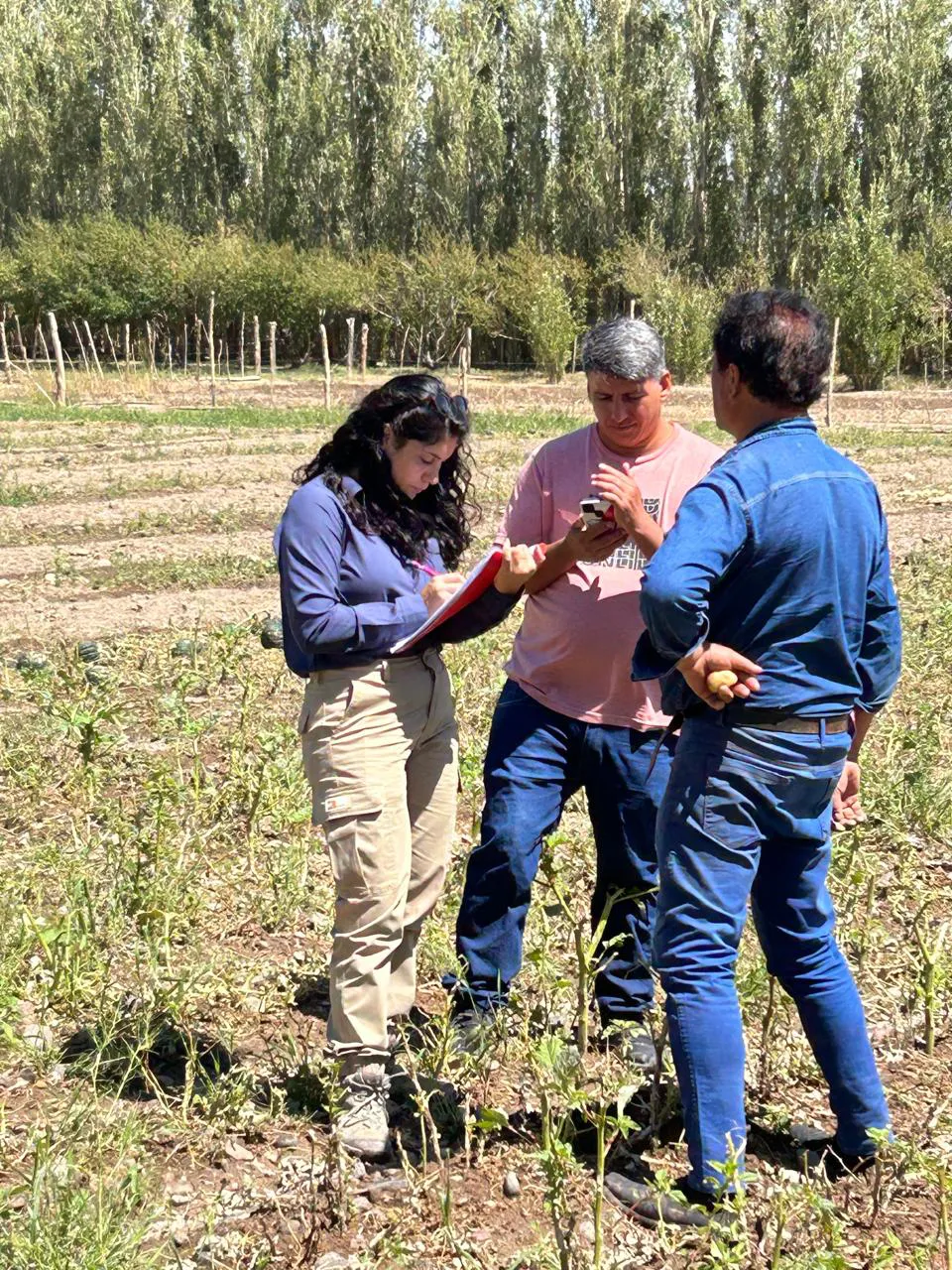 09e8151f-569b-4a0f-8687-c417d9e2a561