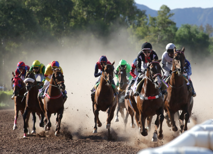 Turf, Hipodromo de Mendoza, clásico Vendimia