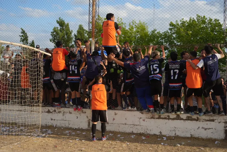 Defensores de Argentinos, ascendio a Primera