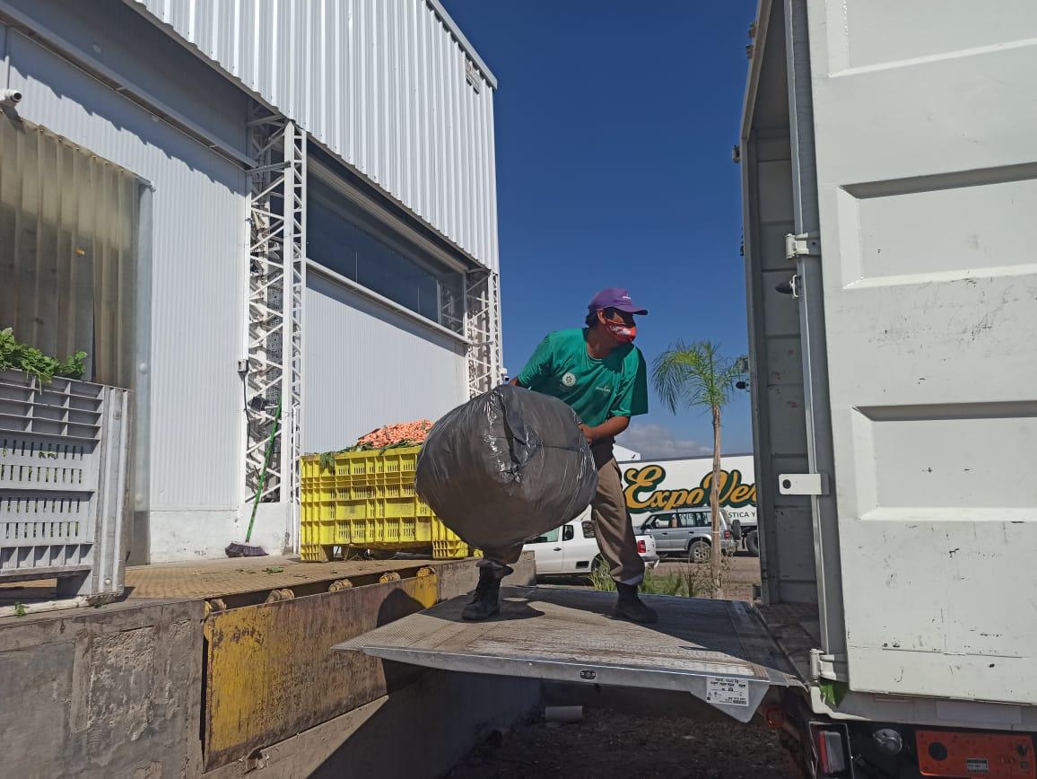 reciclaje ExpoVerde 3