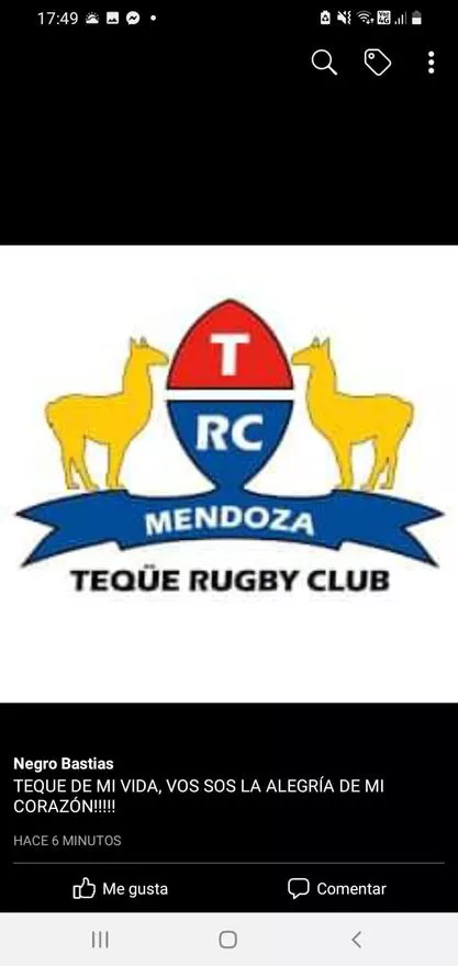 Rugby, Teqüé campeón, escudo