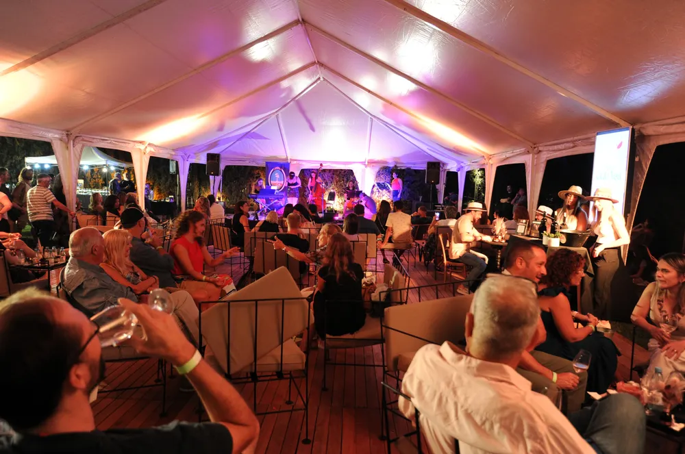 dionisias en el fader (151) visión carpa 2