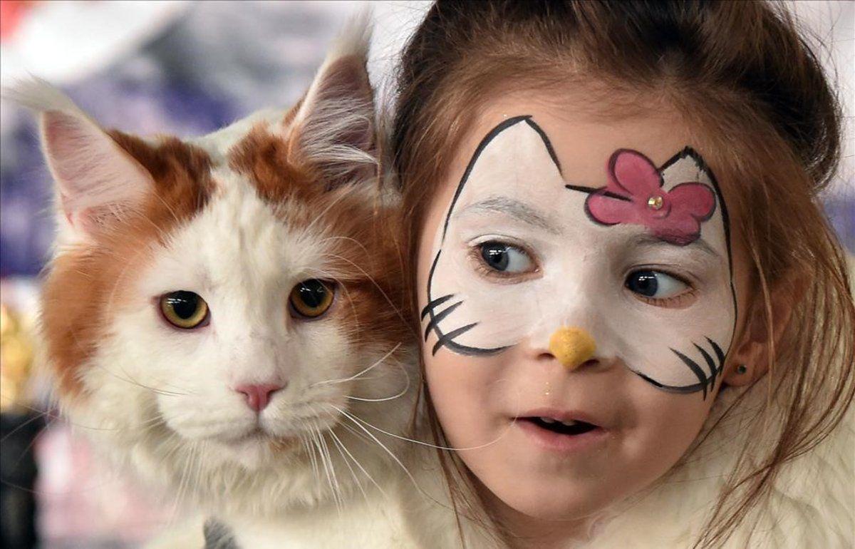 gato niña mascotas