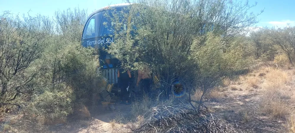 WhatsApp Image 2023-02-27 at 12.48.01