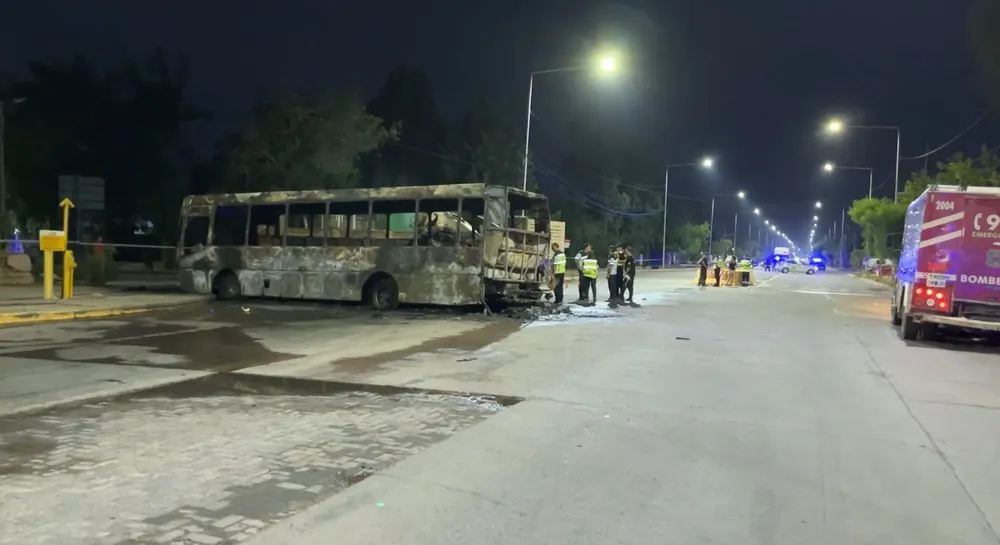 WhatsApp Image 2025-02-08 at 14.31.56