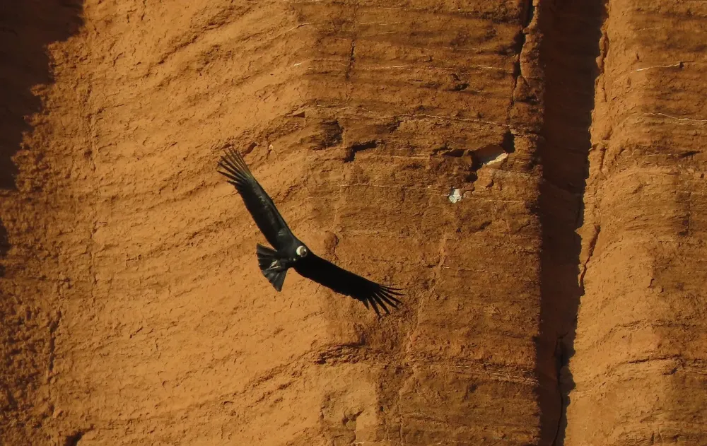 380946235_6639736289446578_2994154854229717952_n