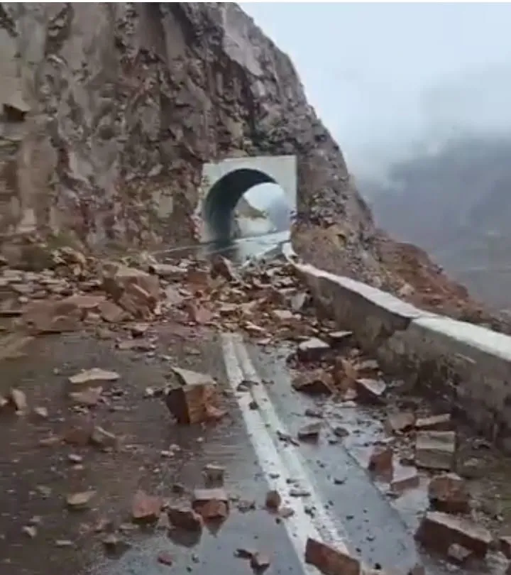 RN Cortaderas 08102024