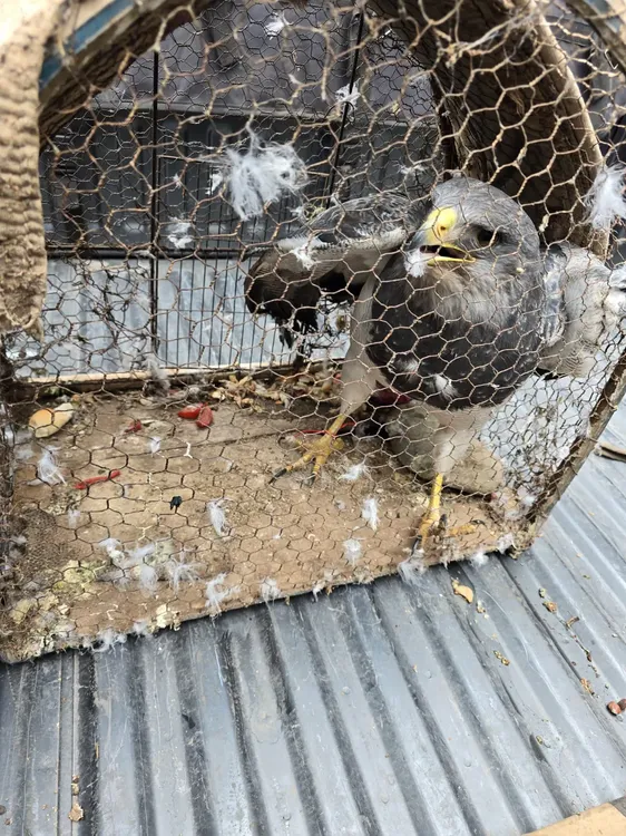 WhatsApp-Image-2025-07-26-at-09.26.03-3