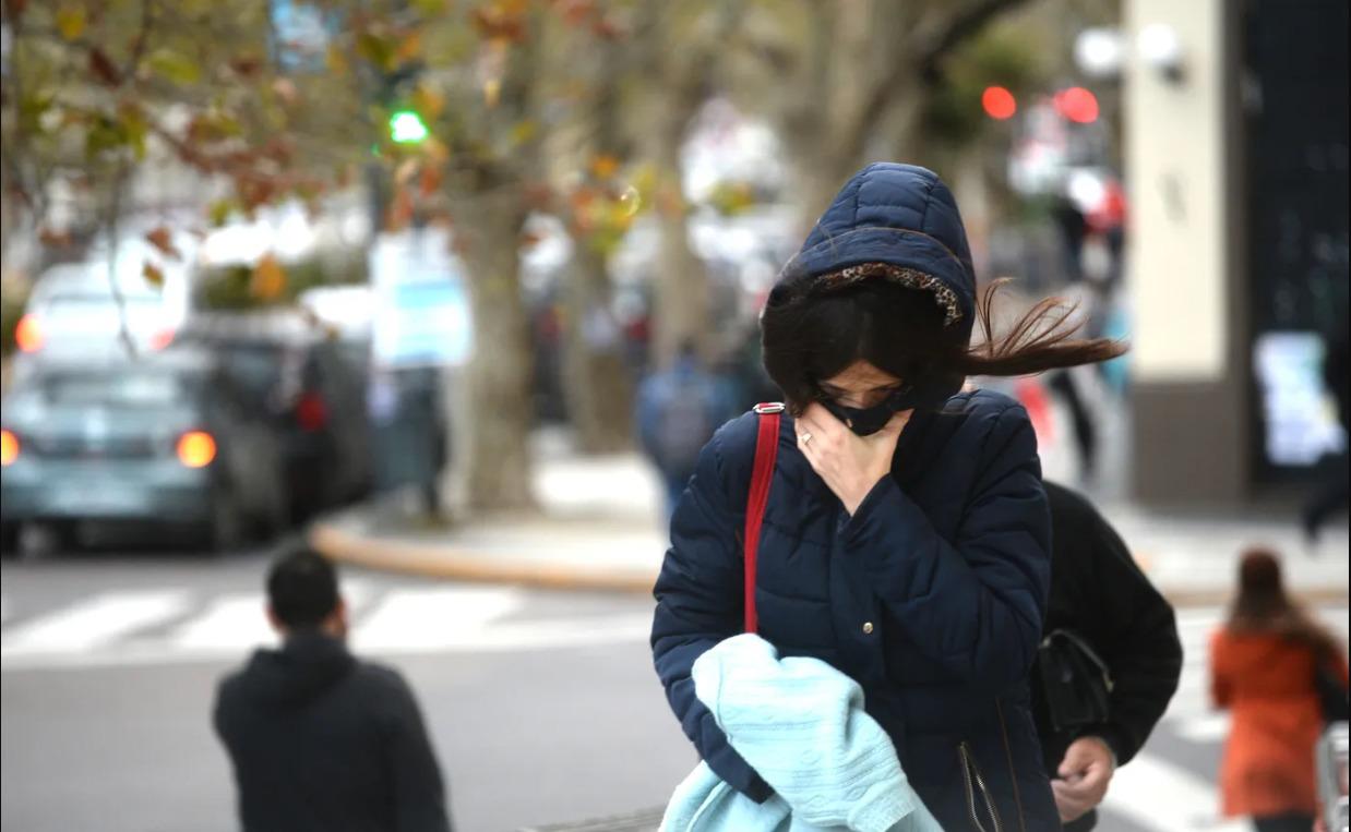 WhatsApp Image 2024-05-15 at 10.33.49