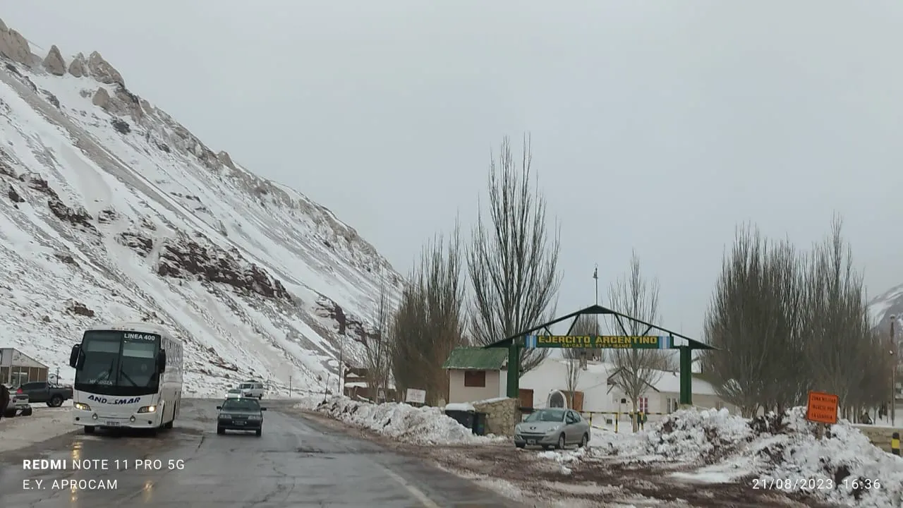 WhatsApp Image 2023-08-21 at 18.59.48