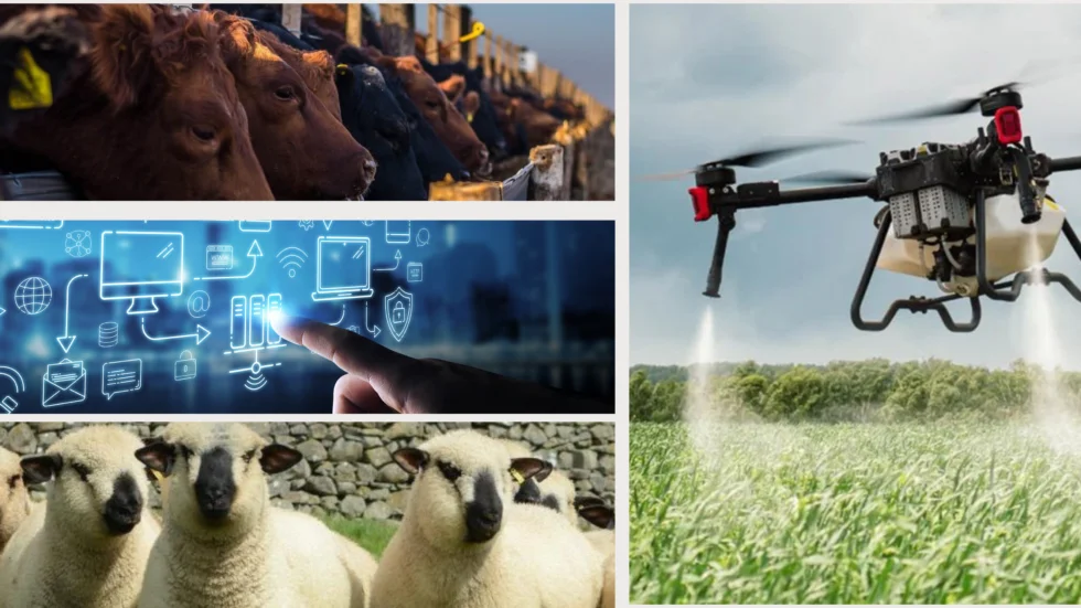 Beige-Minimalist-Aesthetic-Photo-Collage-Banner-980x551