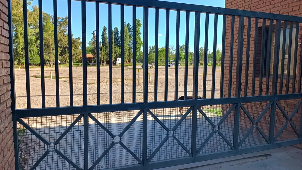 WhatsApp Image 2025-02-05 at 8.25.22 PM (1)