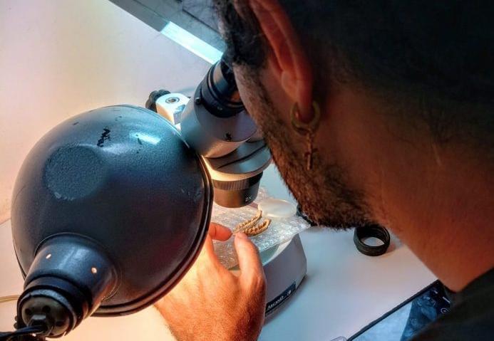 WhatsApp Image 2024-02-17 at 9.00.58 PM