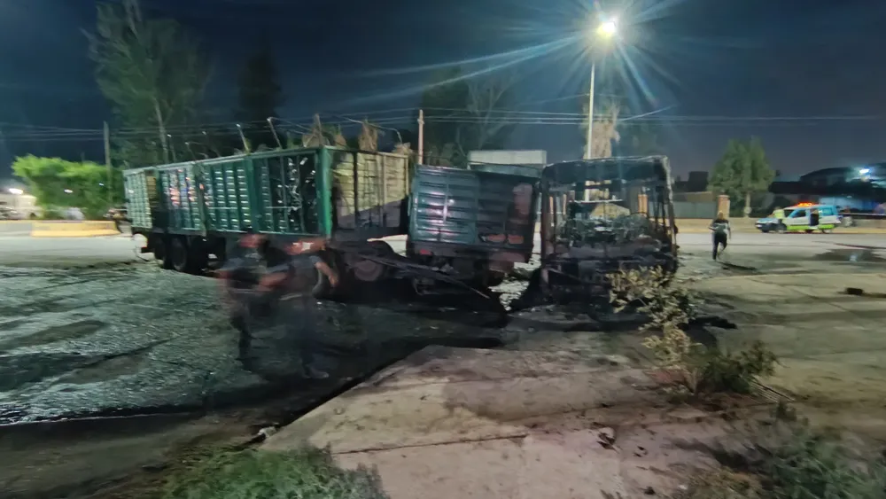 WhatsApp Image 2025-02-08 at 00.53.28 (1)