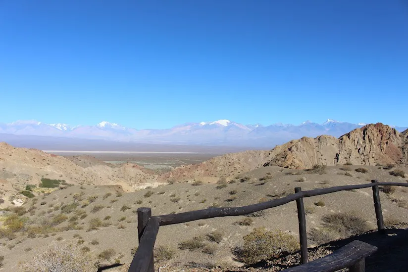 WhatsApp Image 2024-11-24 at 12.01.33 PM (1)