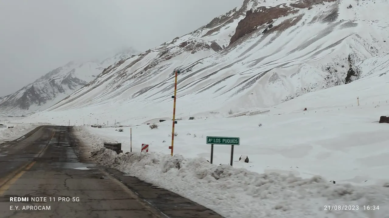 WhatsApp Image 2023-08-21 at 18.59.48 (1)